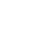 fully insured icon